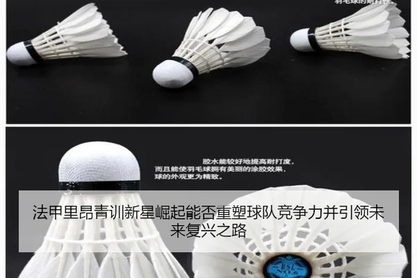 法甲里昂青训新星崛起能否重塑球队竞争力并引领未来复兴之路