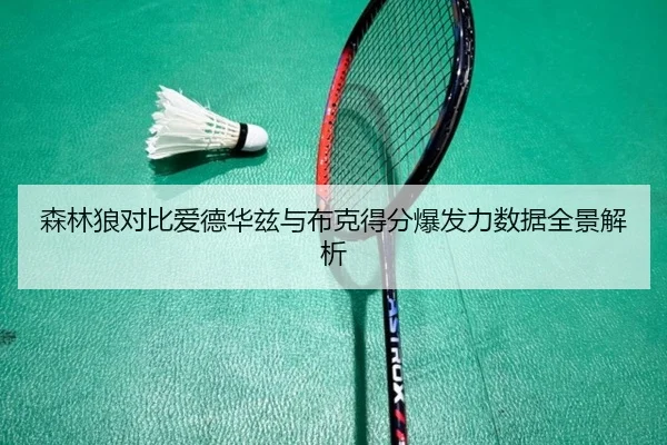 森林狼对比爱德华兹与布克得分爆发力数据全景解析