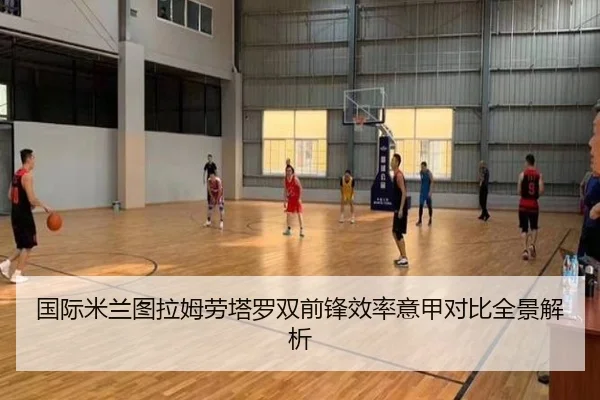 国际米兰图拉姆劳塔罗双前锋效率意甲对比全景解析