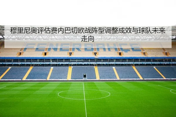 穆里尼奥评估费内巴切欧战阵型调整成效与球队未来走向