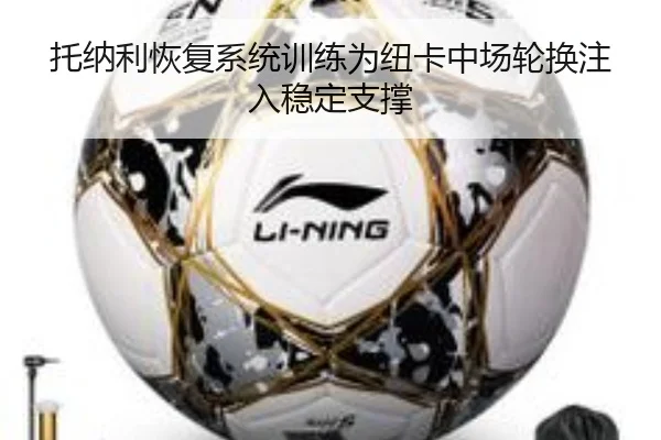 托纳利恢复系统训练为纽卡中场轮换注入稳定支撑